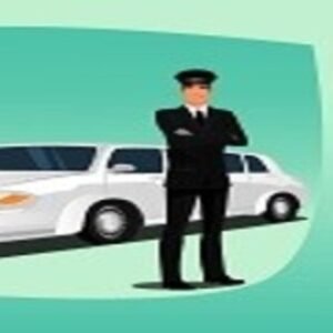Profile photo of SafeDriver